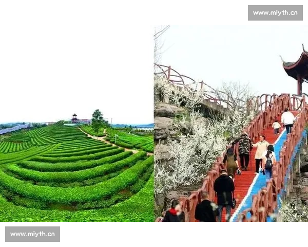 筠连绿色生态发展与文旅融合推动县域经济高质量振兴路径研究